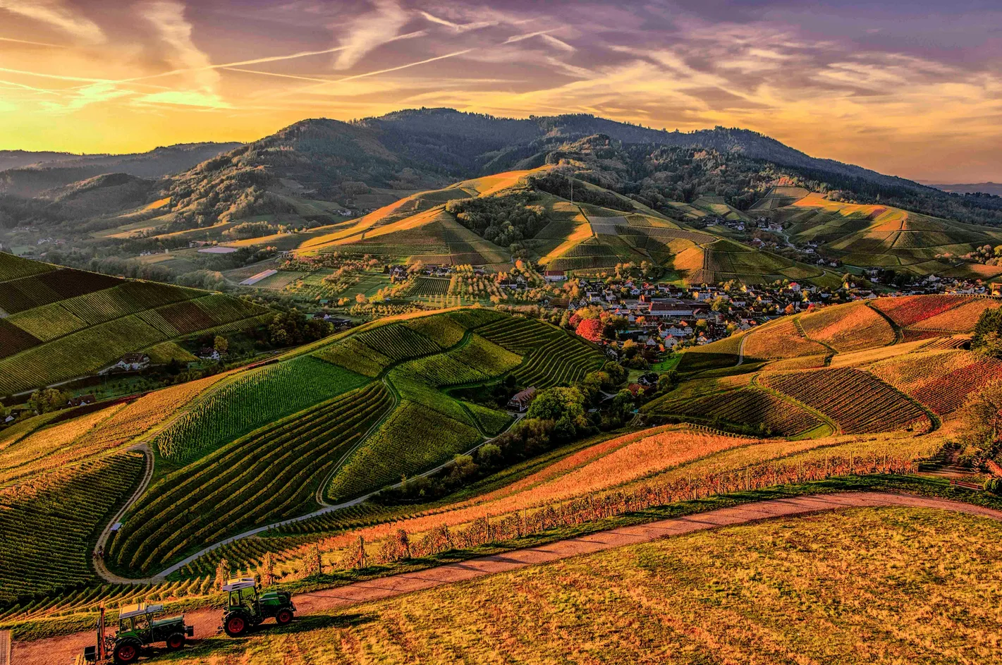 Hilly Farms