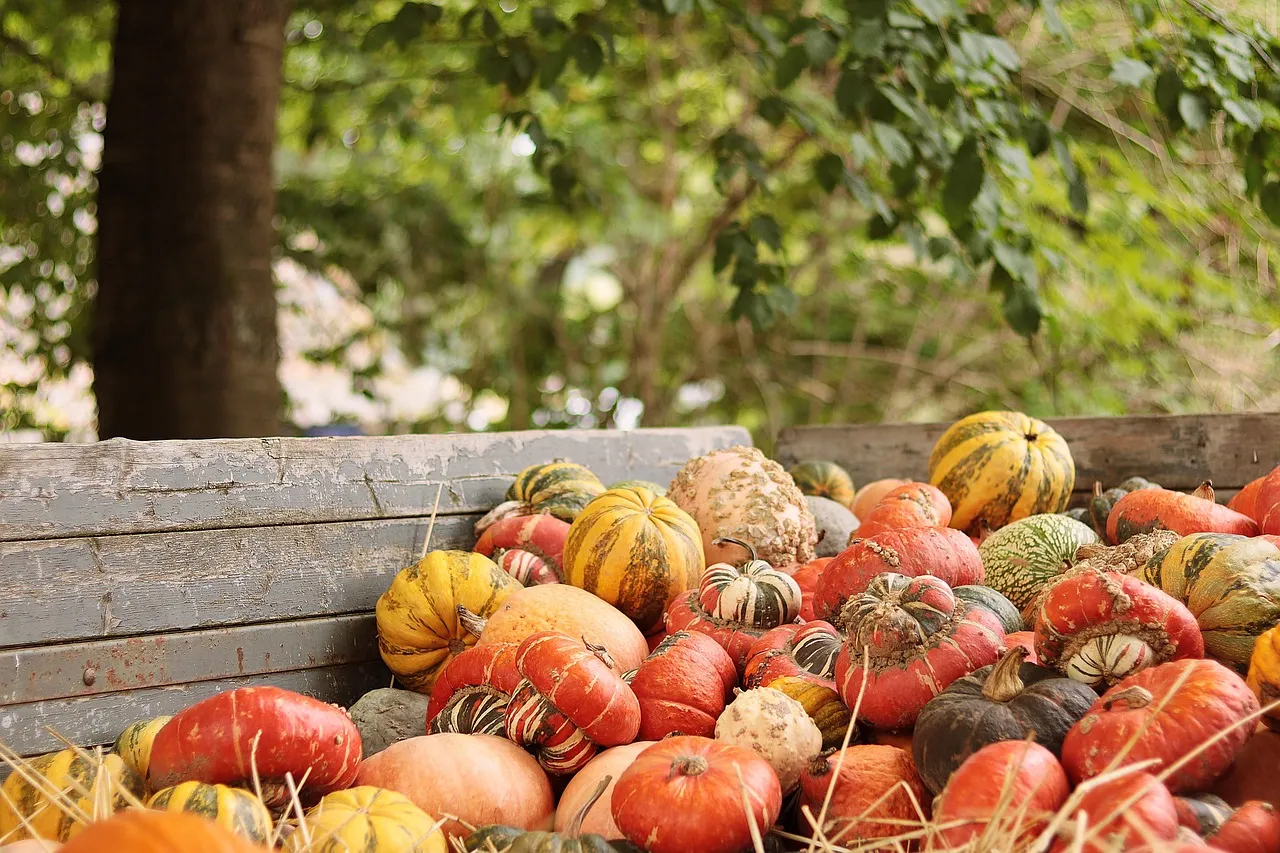 Autumn Harvest Display