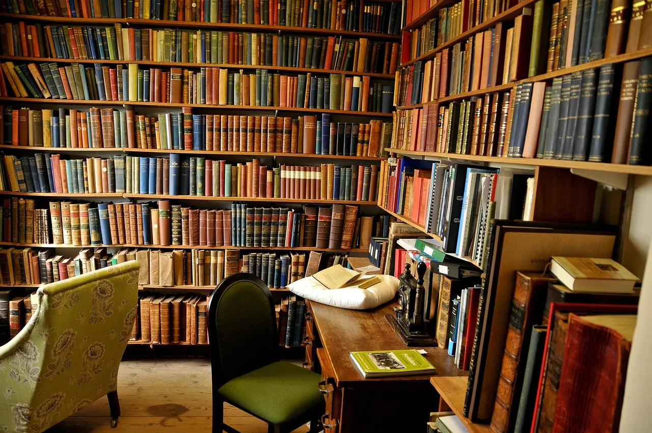 Cozy Library Corner