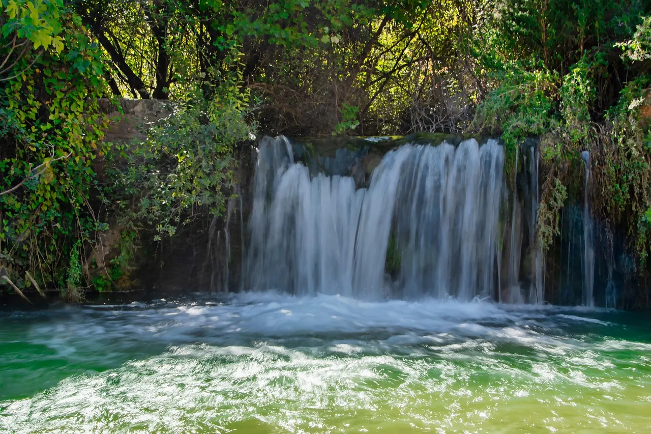 Waterfall in lush greenery