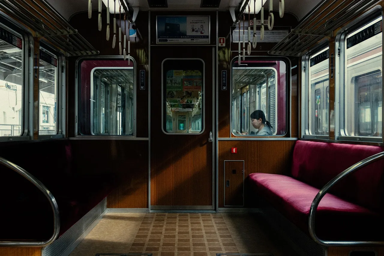Train Interior with Passenger