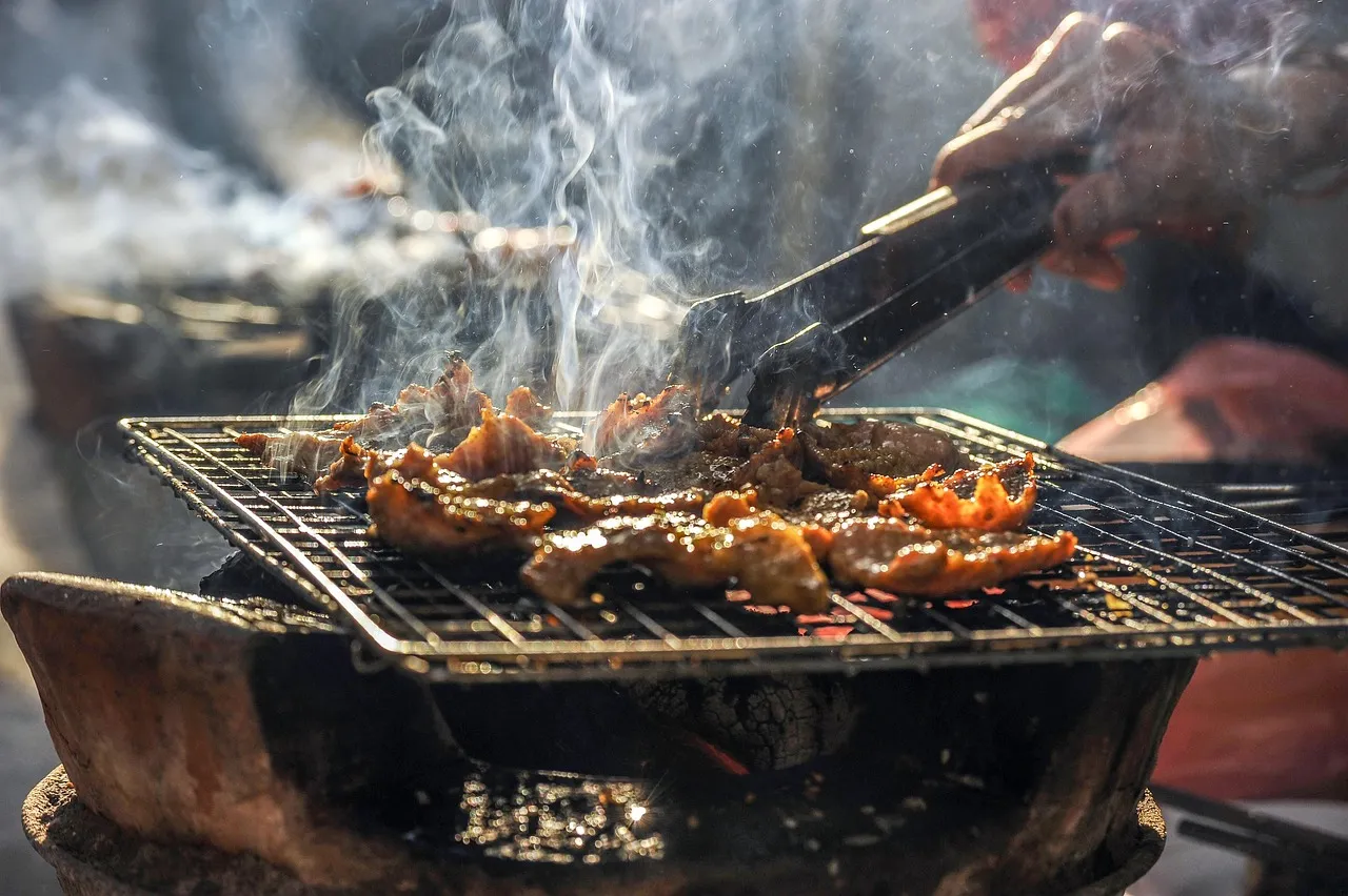 Grilling Meat Outdoors