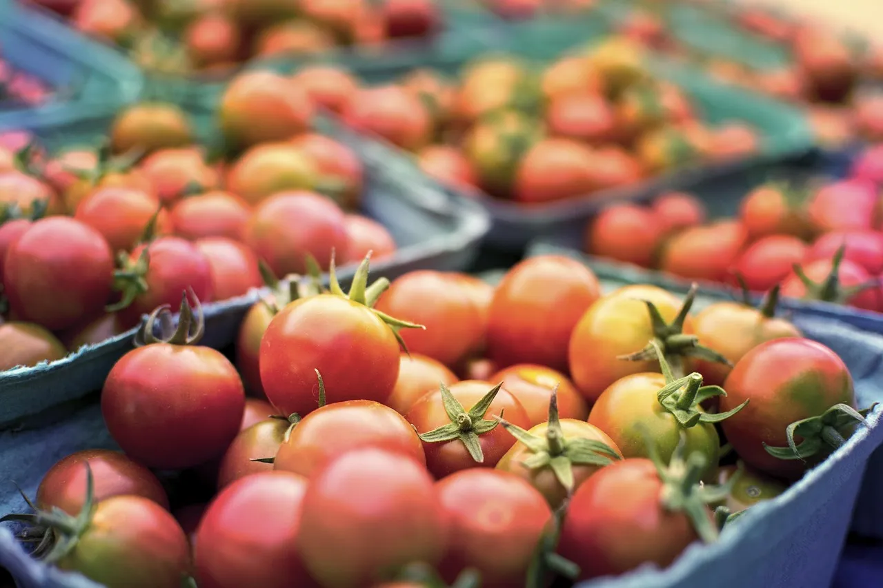 Fresh Tomatoes in Baskets