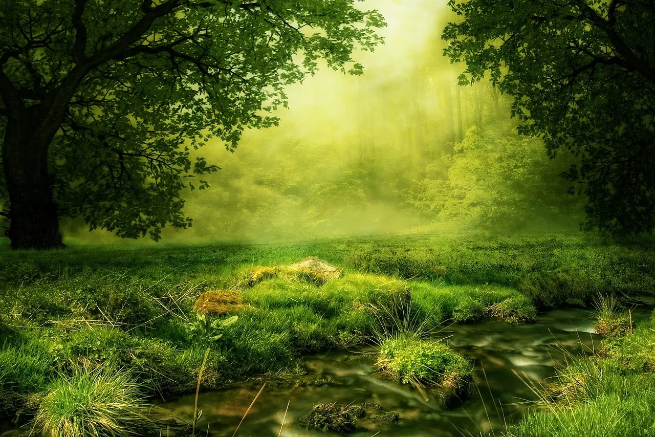 Misty Forest Stream