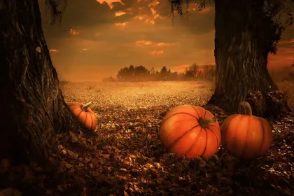Jigsaw puzzle of Autumn Pumpkins at Sunset