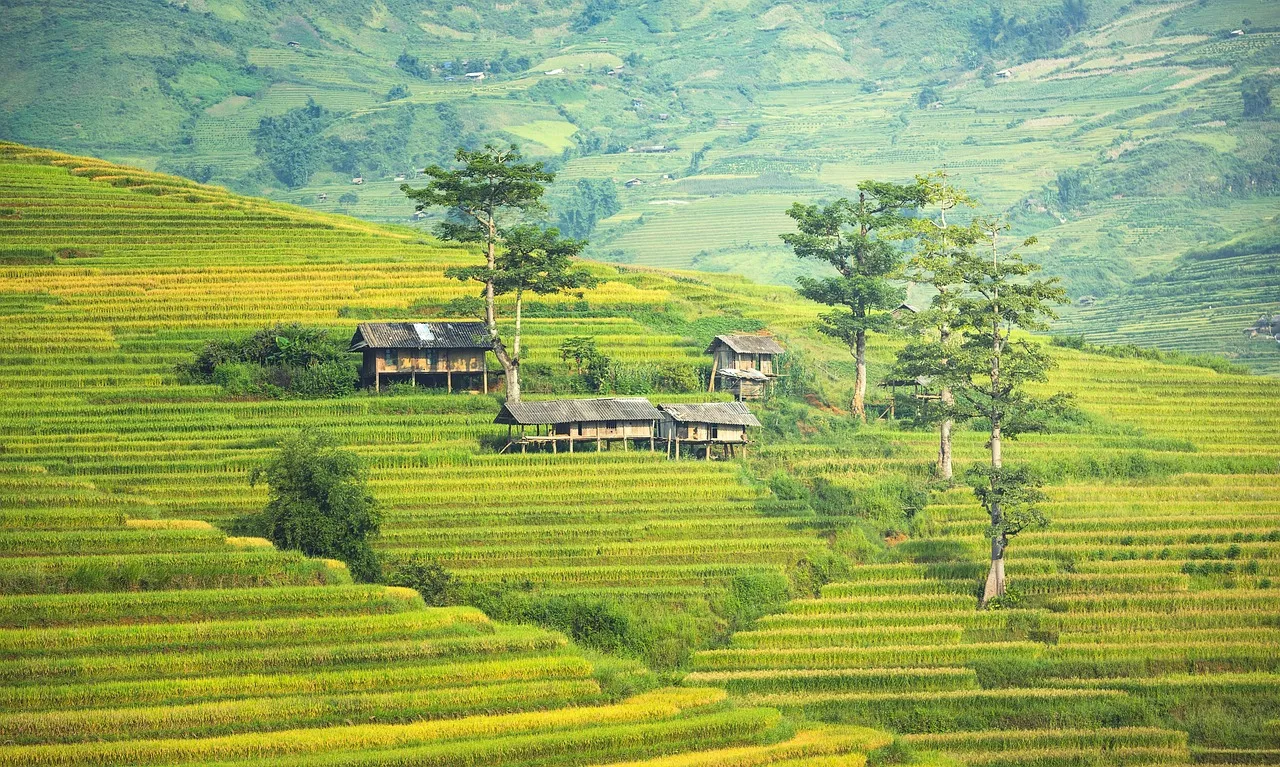 Terraced Fields and Village