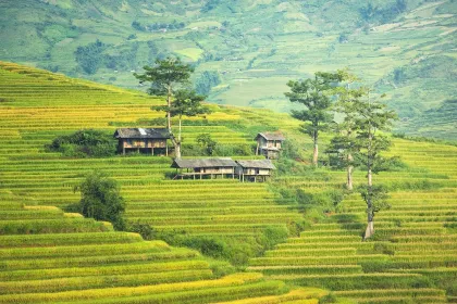 Jigsaw puzzle of Terraced Fields and Village