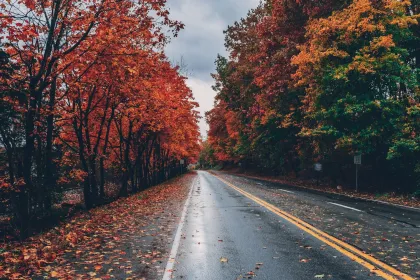 Jigsaw puzzle of Road in autumn