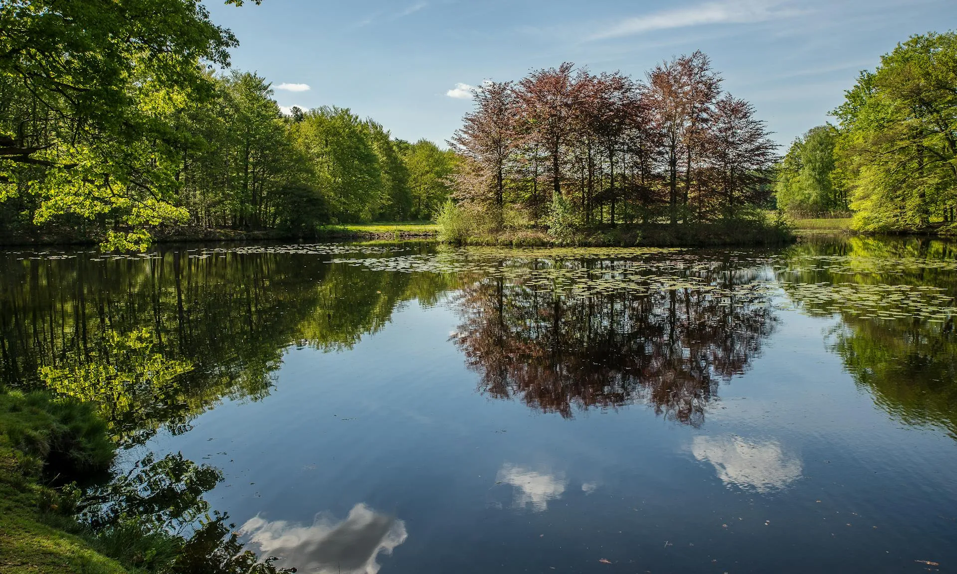 Tranquil Lake