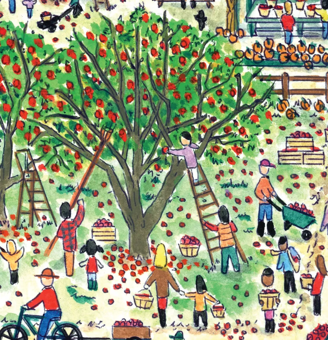 apple pickin