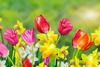 Mixed Flowers jigsaw puzzle