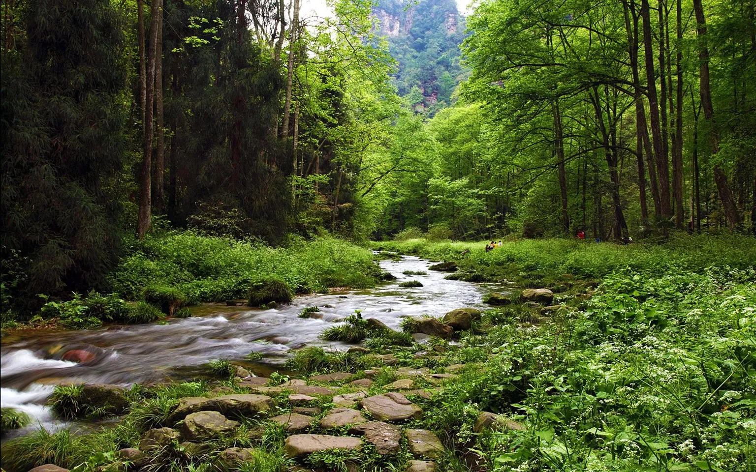 Walk on the Wild Side