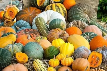 Fall Harvest jigsaw puzzle