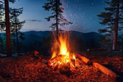 Campfire jigsaw puzzle
