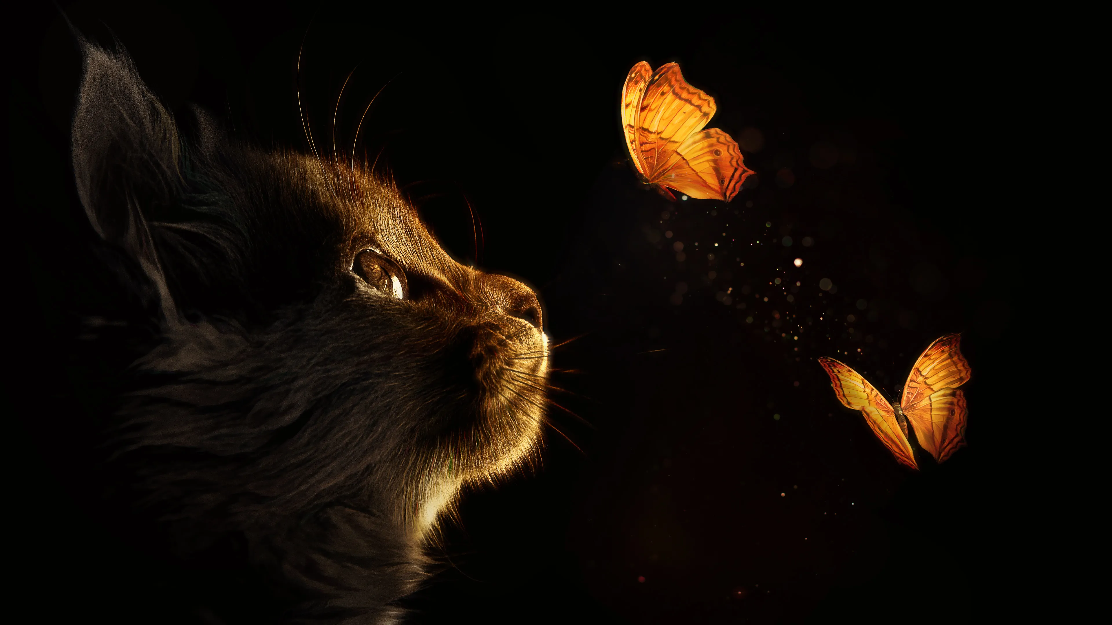 cat and butterfly