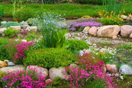 Rock Garden jigsaw puzzle