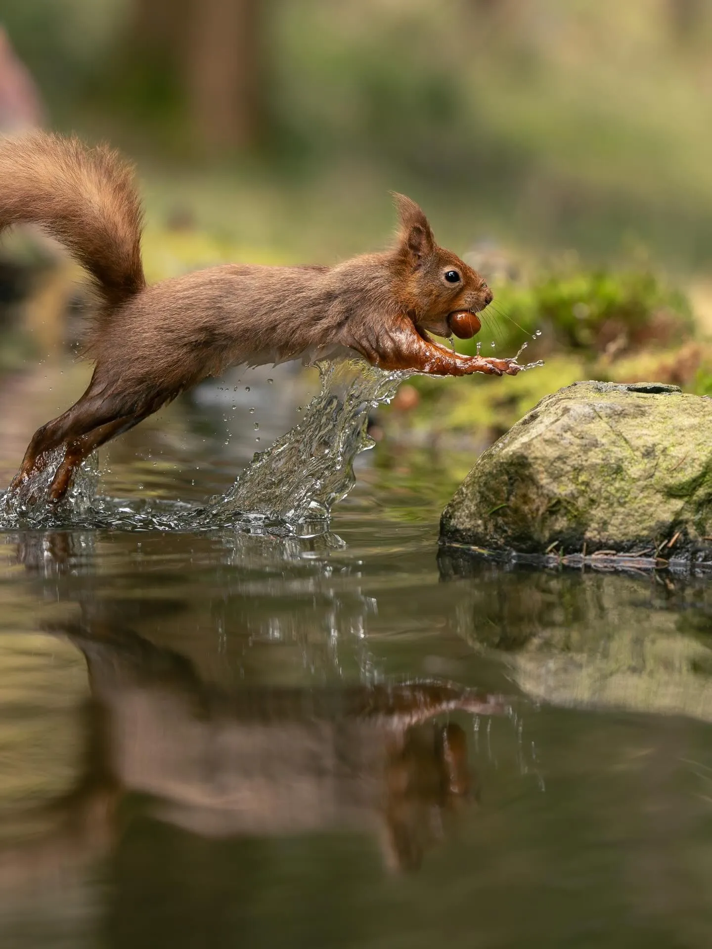 Photography by Shelby Grant