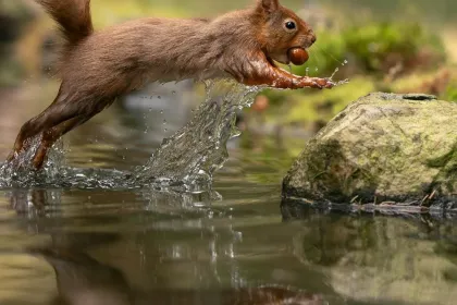 Photography by Shelby Grant jigsaw puzzle