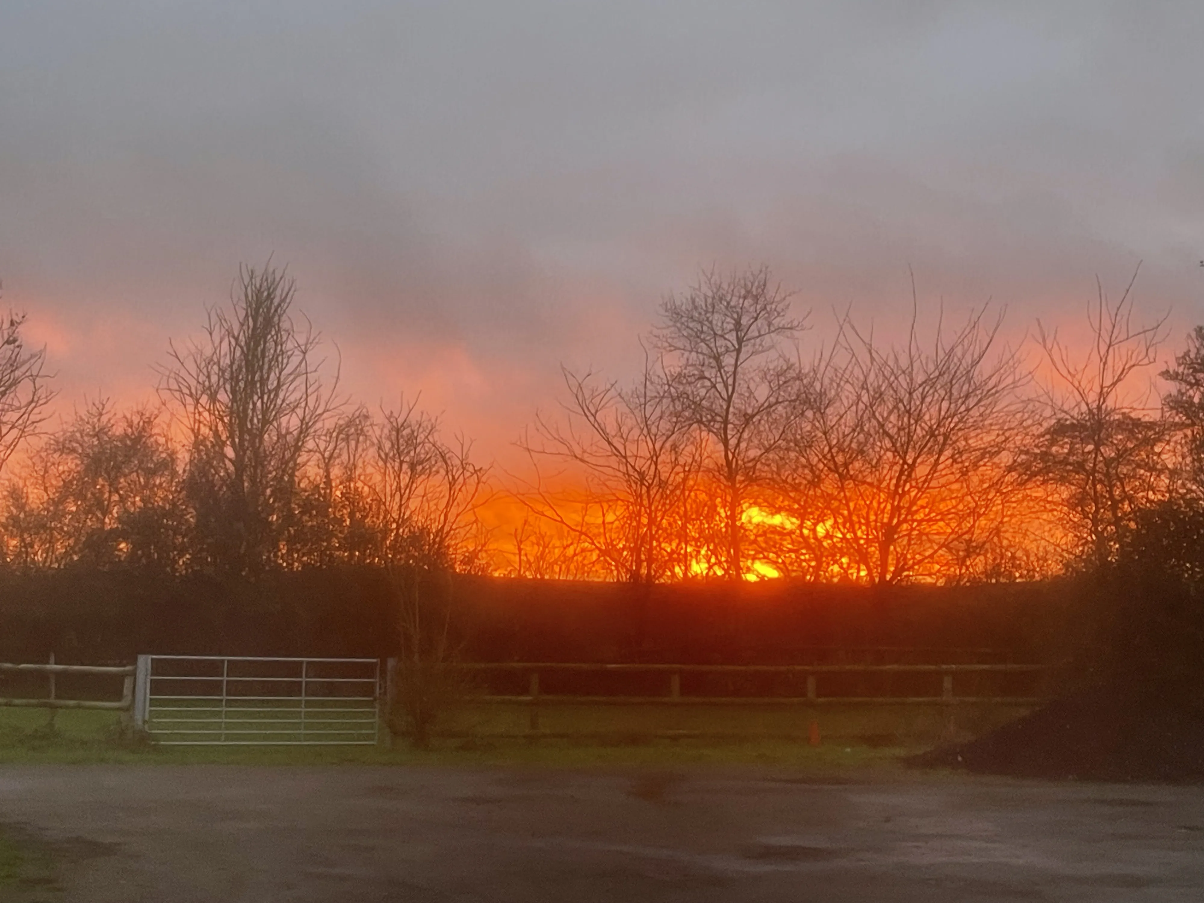 Winter sunset