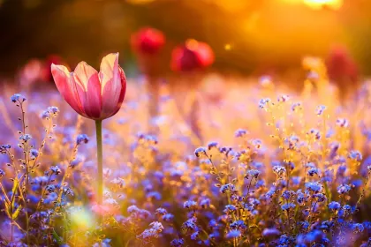 Spring jigsaw puzzle