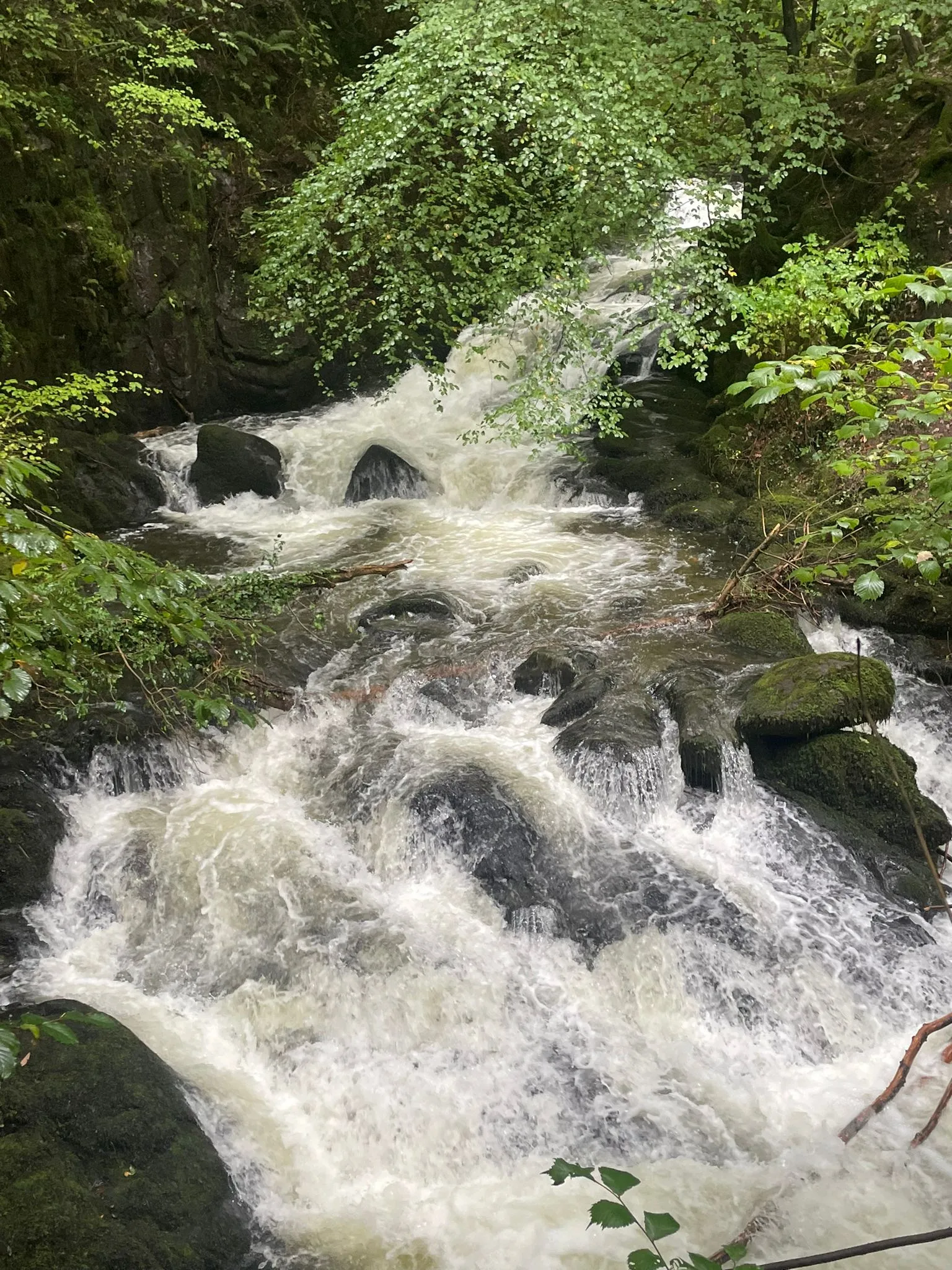 Bubbling stream