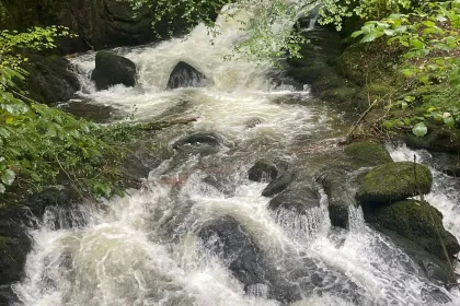 Bubbling stream jigsaw puzzle
