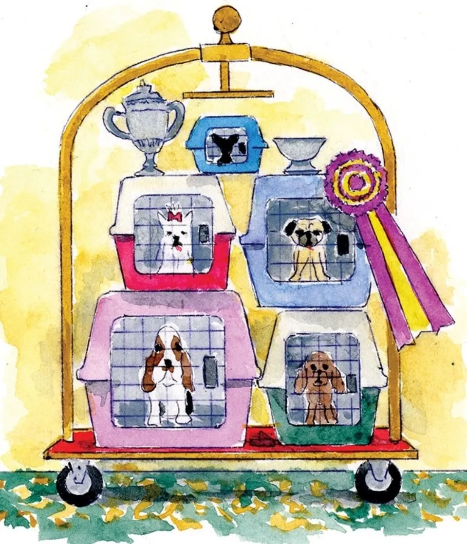 Best in Show goes to....