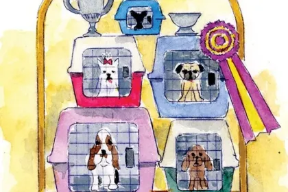 Best in Show goes to.... jigsaw puzzle