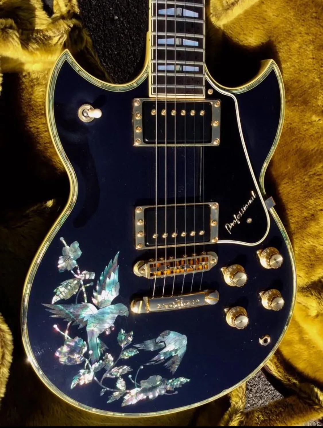 Guitar