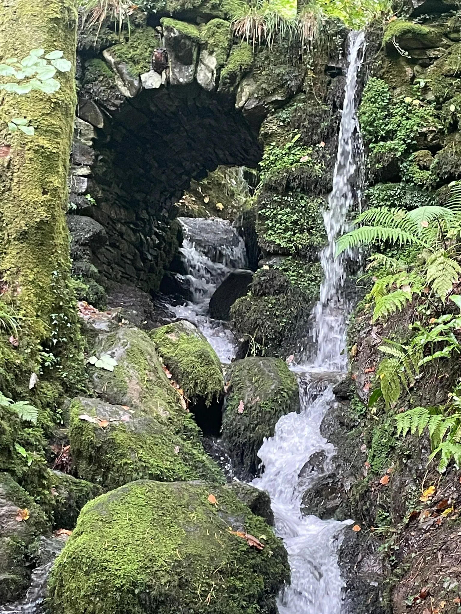 Waterfull