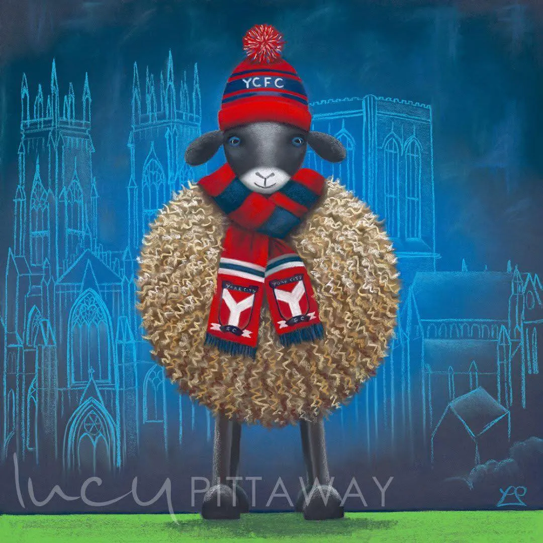 sheep