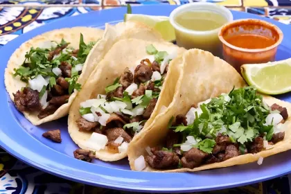 Carne Asada tacos jigsaw puzzle