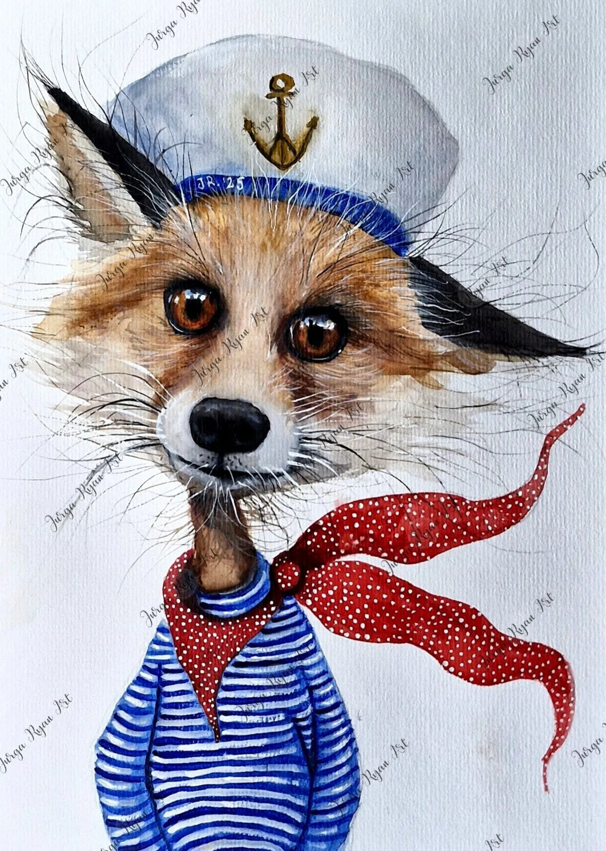sailor fox