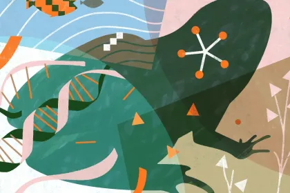 frog art jigsaw puzzle