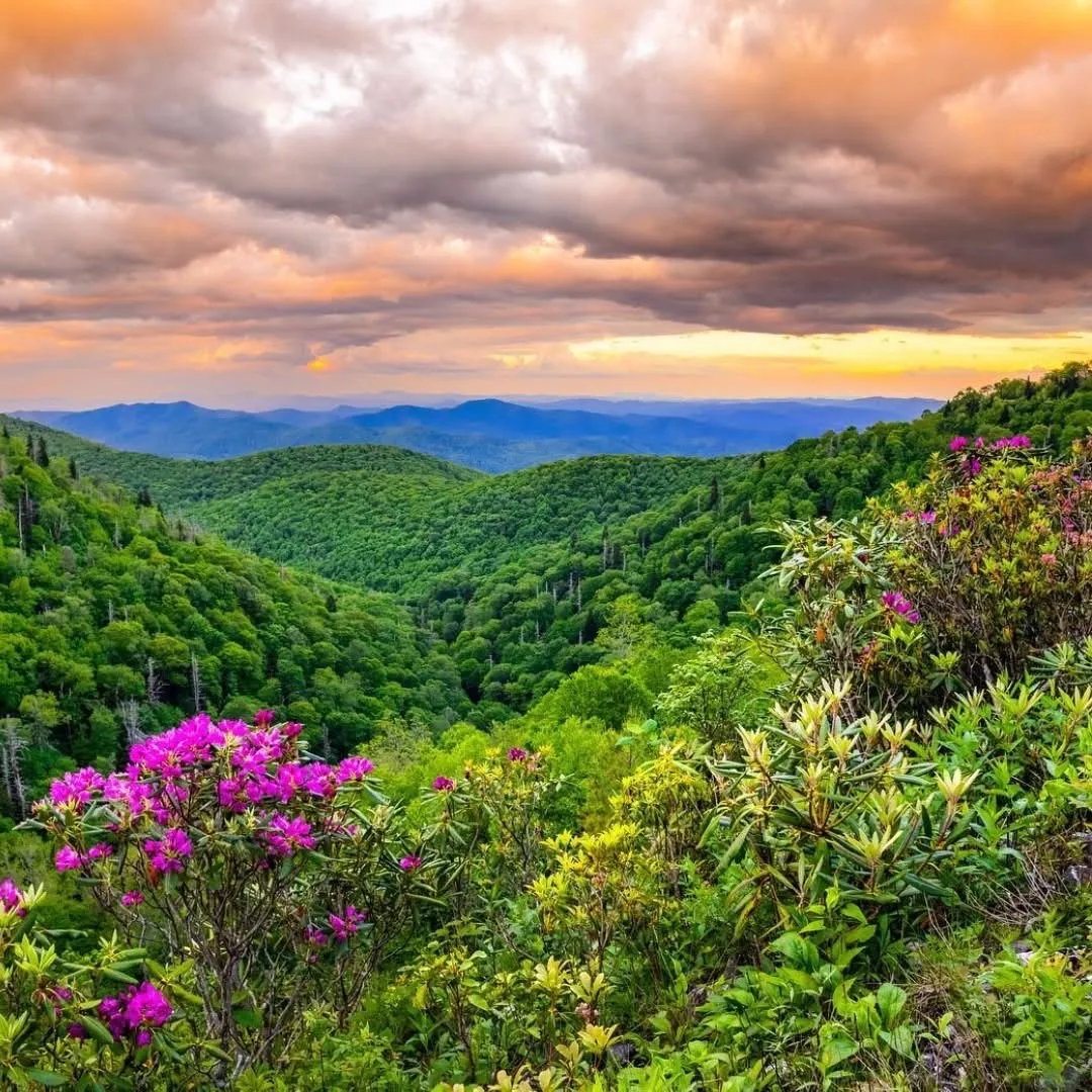 Blue Ridge Mountains-Spring