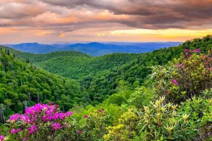 Blue Ridge Mountains-Spring jigsaw puzzle