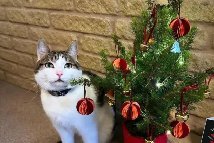 Trixie jigsaw puzzle