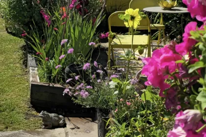 flowers jigsaw puzzle