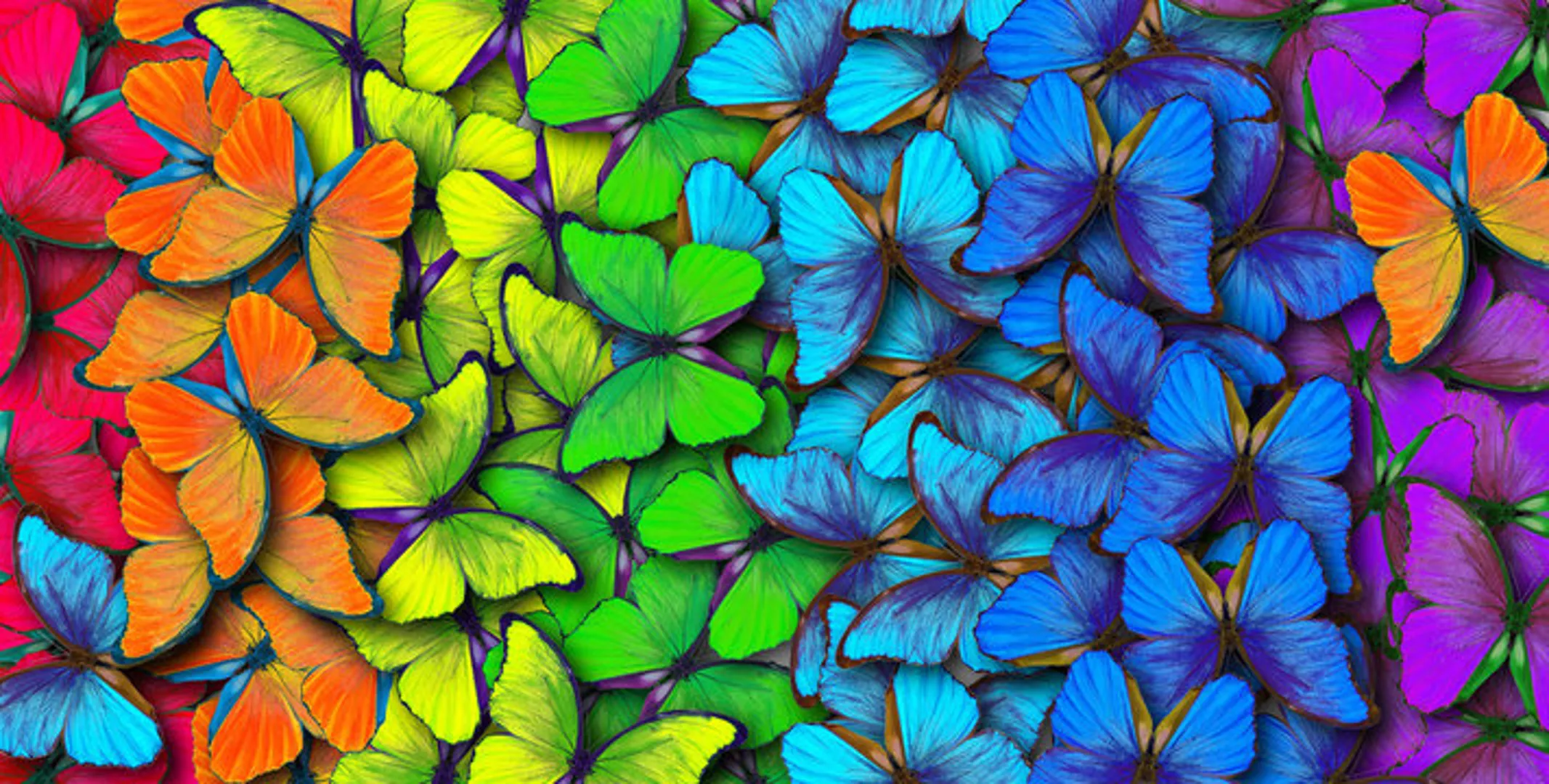 Rainbow Butterflies