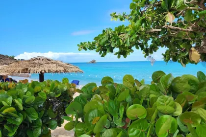 Antigua jigsaw puzzle