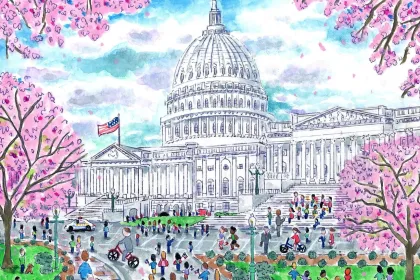 D.C. jigsaw puzzle