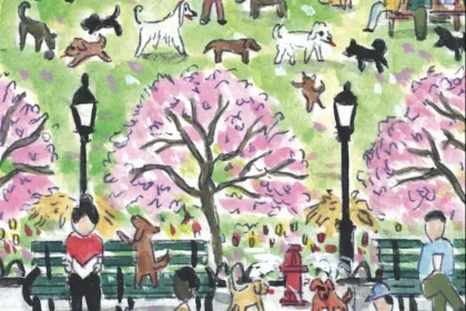 dog park jigsaw puzzle