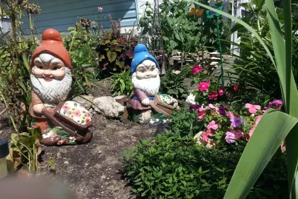 gnomes jigsaw puzzle