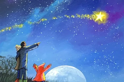 Star gazing jigsaw puzzle