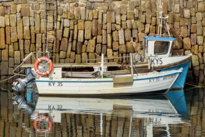 reflection jigsaw puzzle