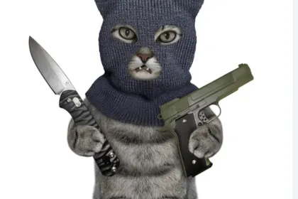 D,djsj jigsaw puzzle