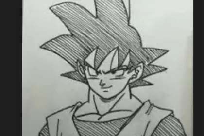 Ffserre jigsaw puzzle