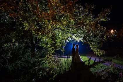 Night Wedding jigsaw puzzle