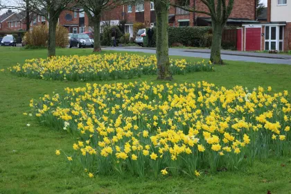 springtime jigsaw puzzle