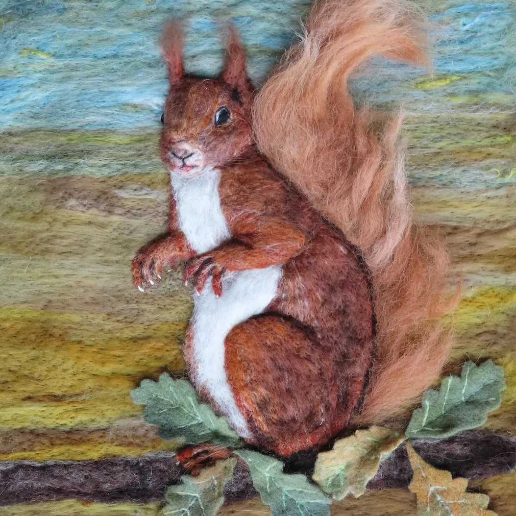 Red Squirrel